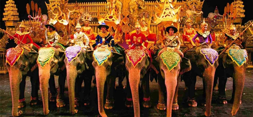 �������ǲ�(�й���)�ٷ���վ